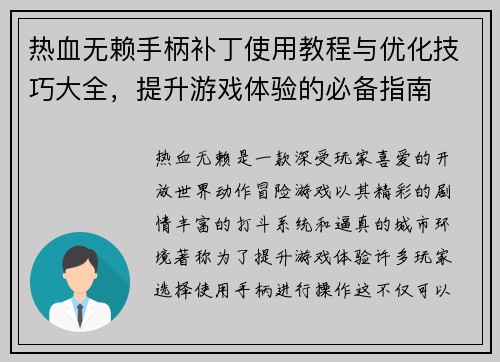 热血无赖手柄补丁使用教程与优化技巧大全，提升游戏体验的必备指南
